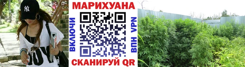 Купить  Торжок  Марихуана конопля 